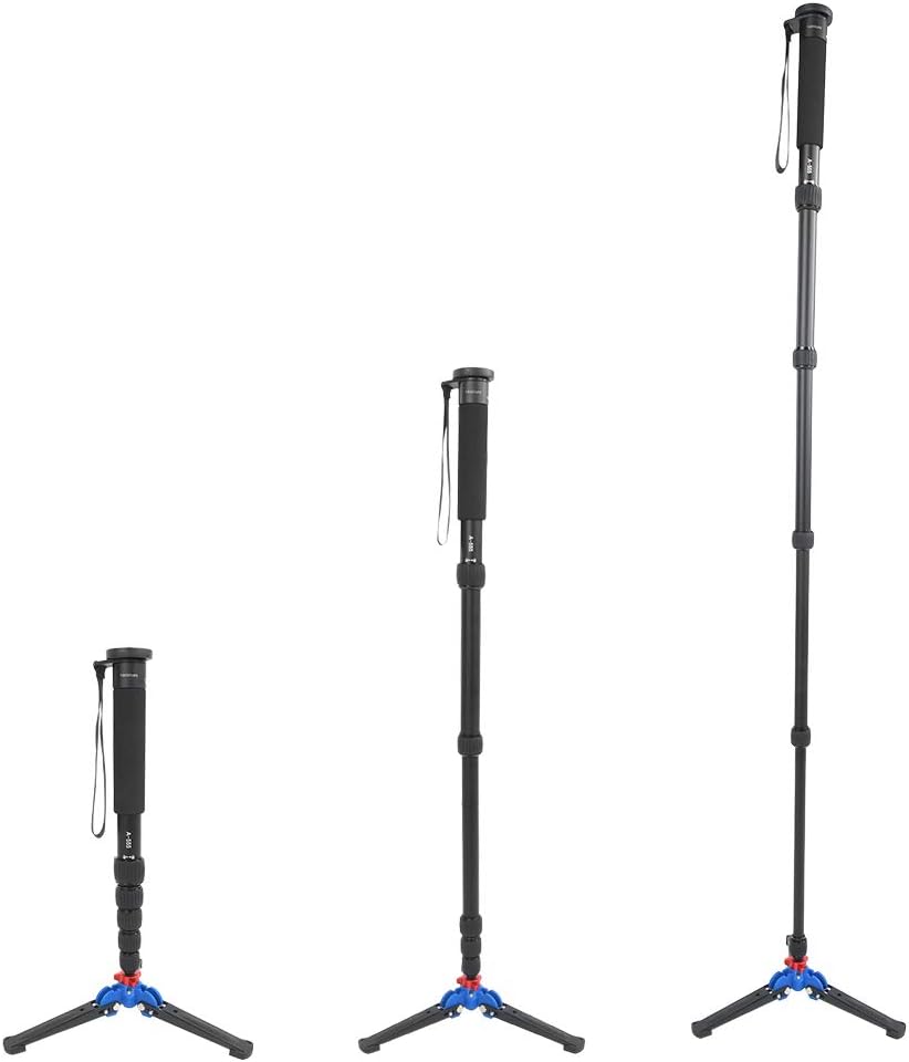 高級 紅木 三味線 バチ 弦 セット ハードケース付き